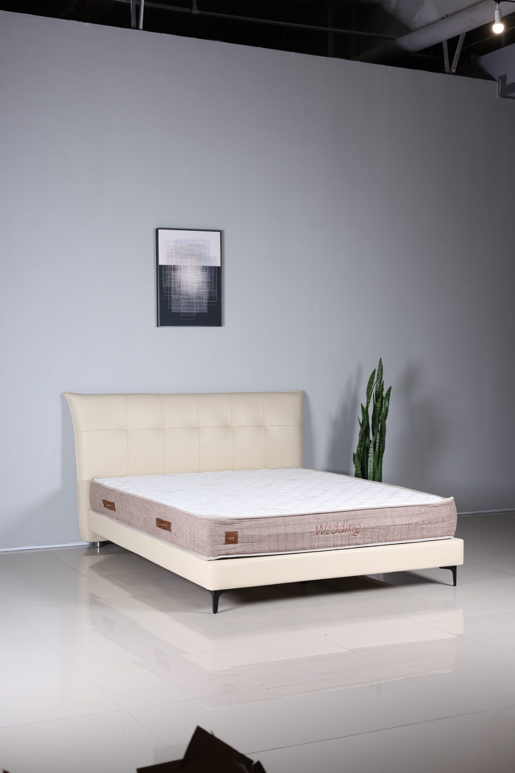 Classico - Image 3