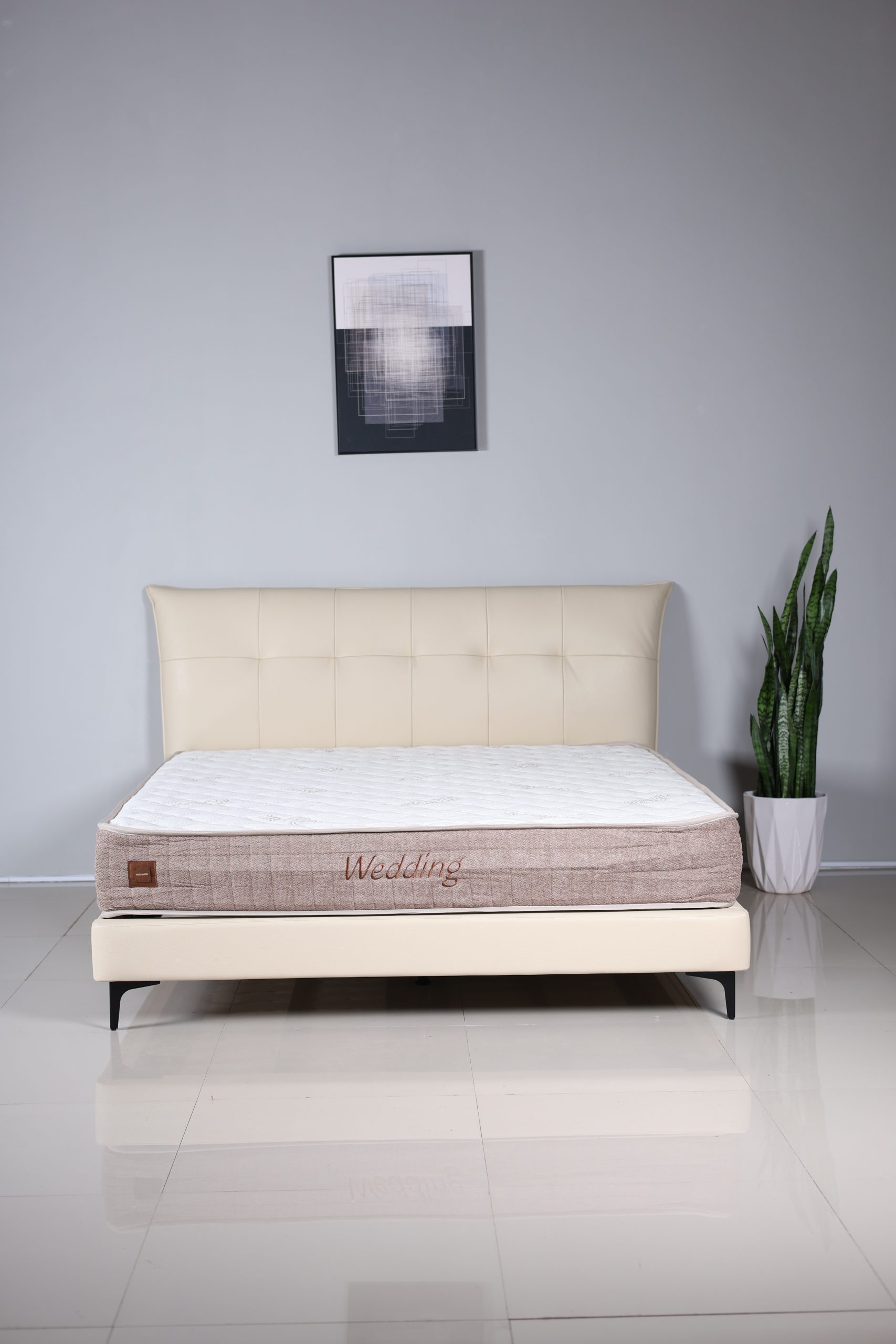 Classico - Image 4
