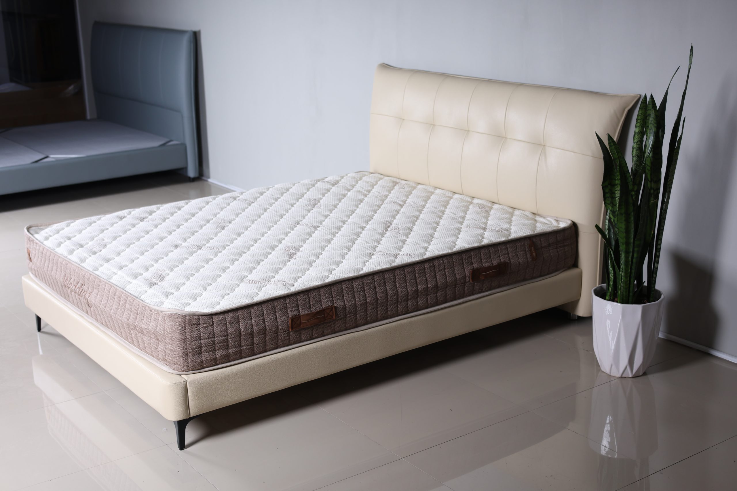 Classico - Image 5