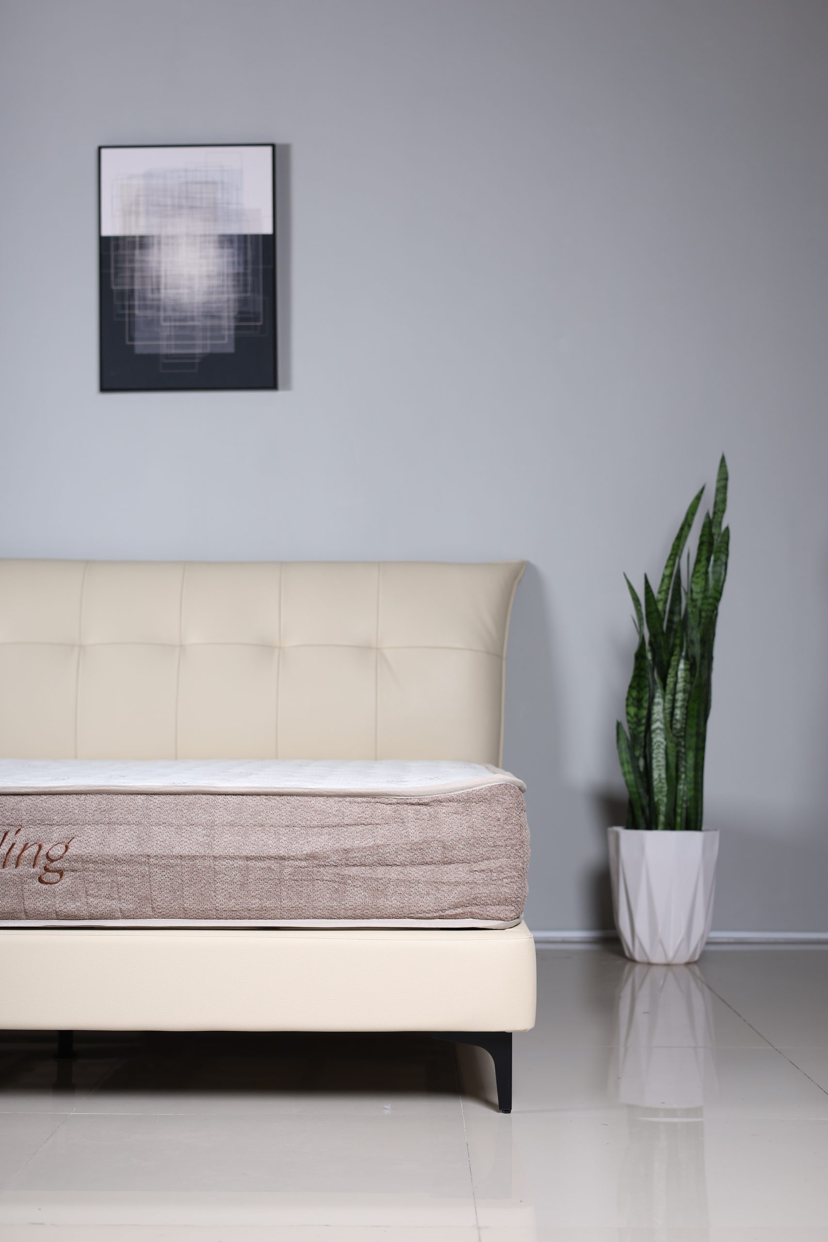 Classico - Image 6
