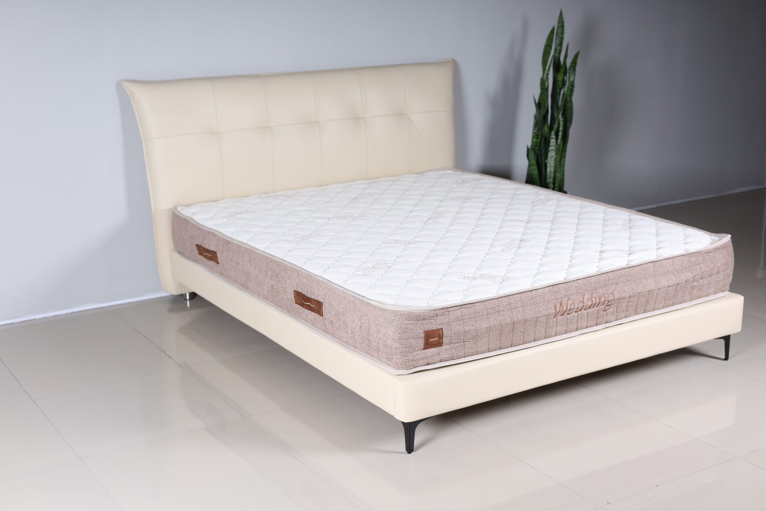 Classico - Image 7