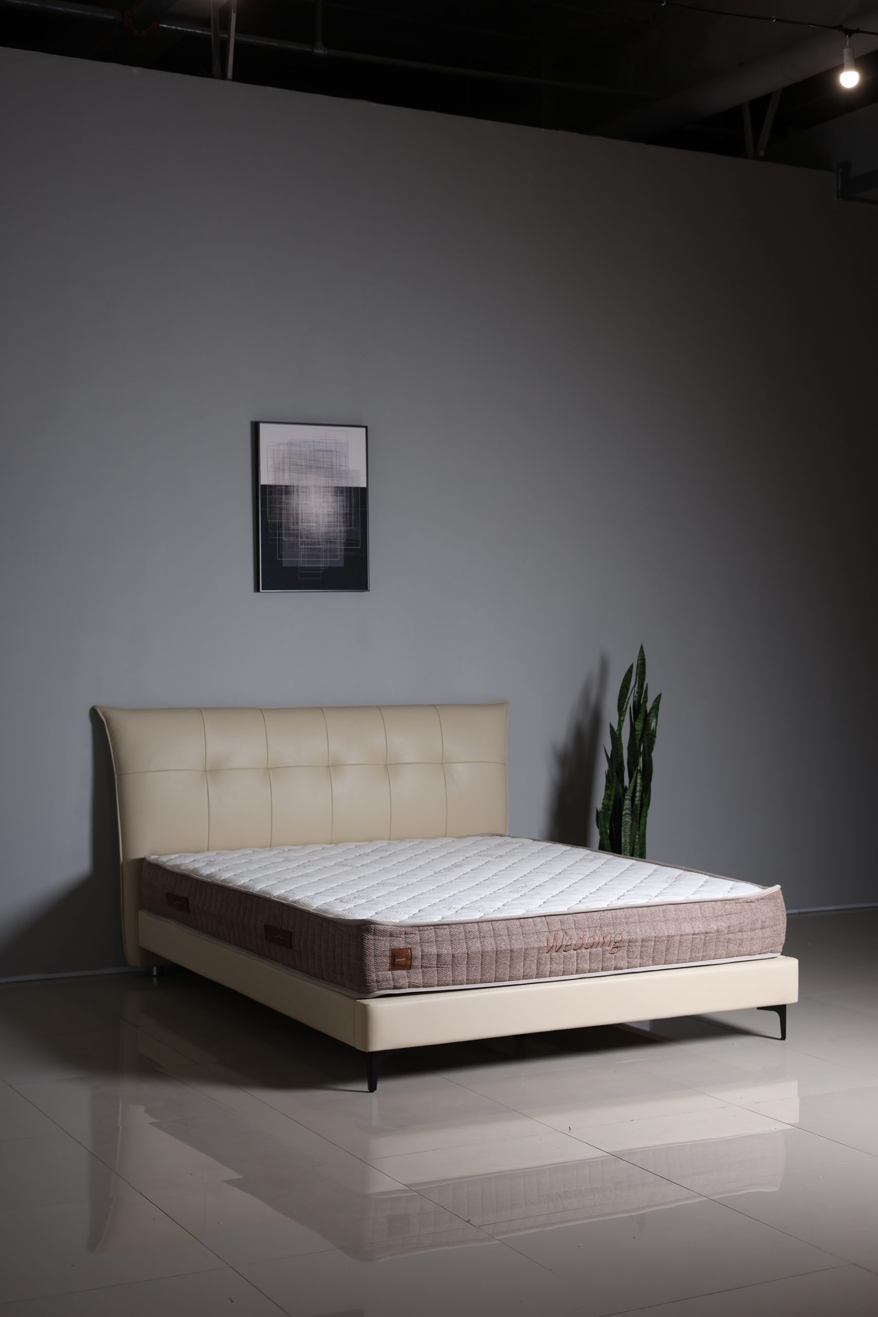 Classico - Image 8