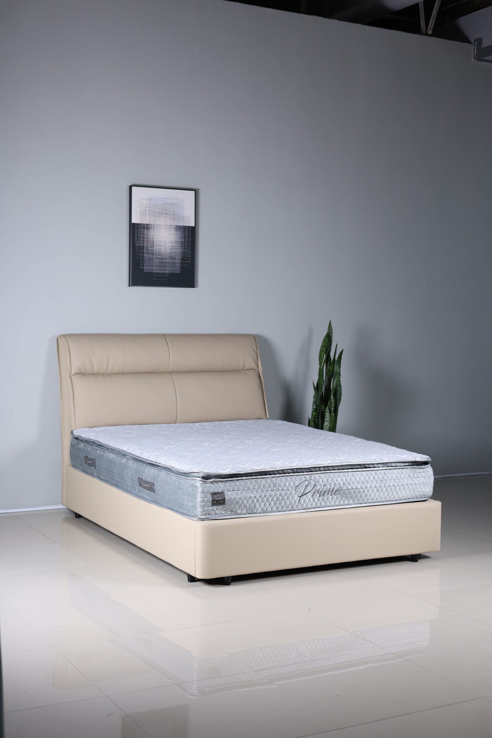 Amora - Image 3