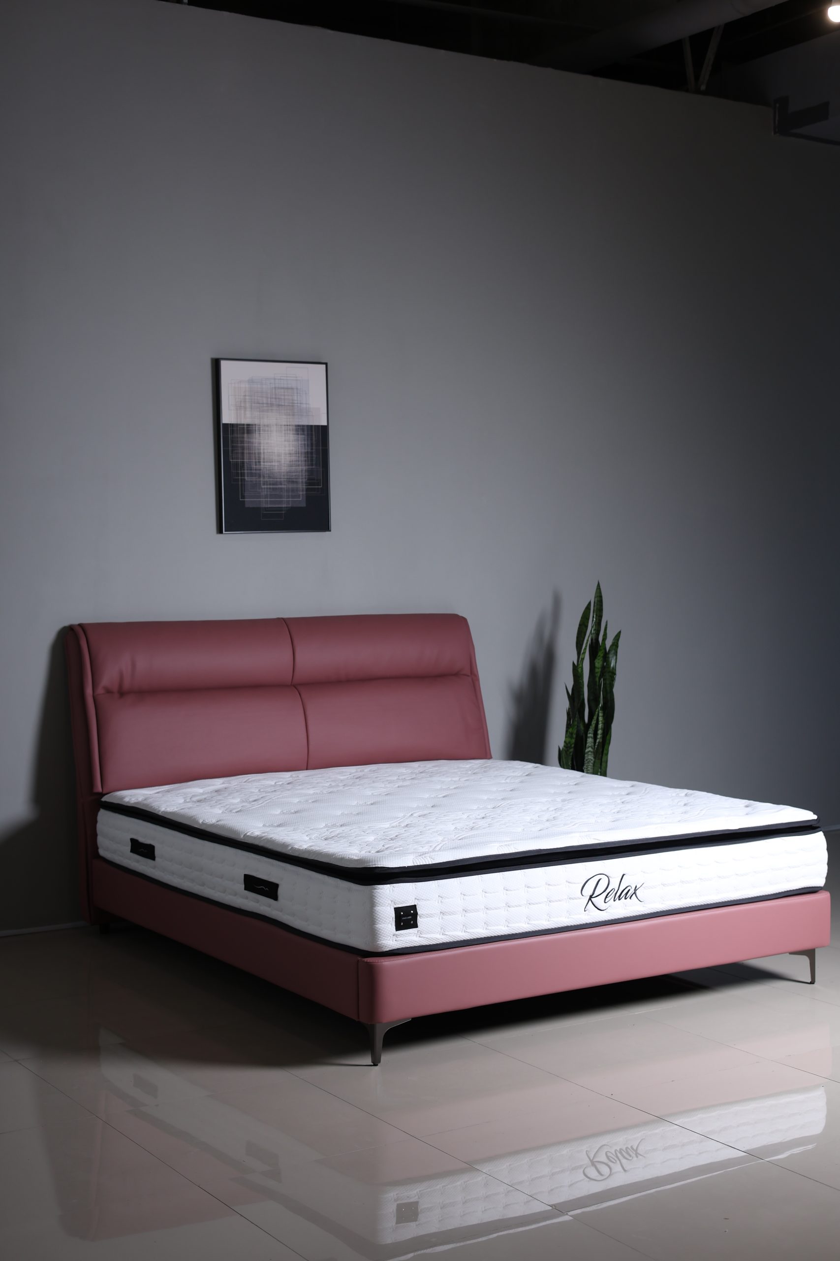 Amora - Image 5