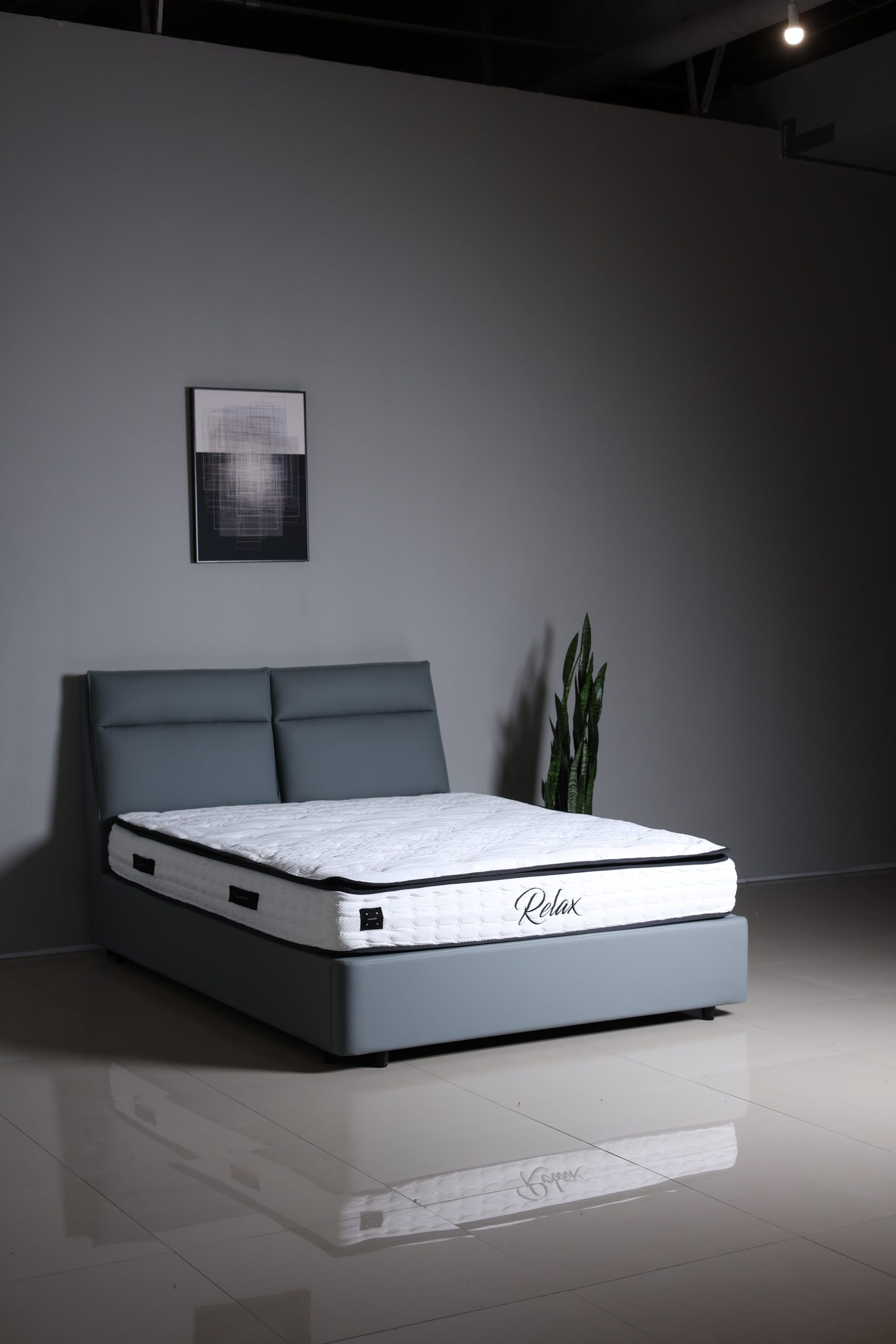 Luna - Image 5